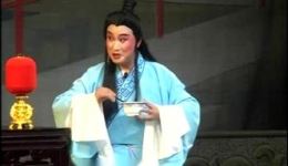 扬剧《烟花情》全剧及中集资源下载，张寿清扬剧团倾情演绎，感受经典爱情传奇下载