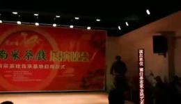 桂南采茶戏《农村新貌多1》博白县客家合民下载 桂南采茶戏《农村新貌多1》博白县客家合民下载