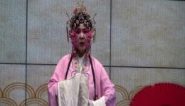 武安落子《秦雪梅》戏曲视频mp4及mp3资源下载,经典剧种精彩呈现 武安落子《秦雪梅》戏曲视频mp4及mp3资源下载,经典剧种精彩呈现