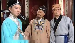 黄梅戏《龙凤奇缘2》韩再芬汪静主演高清戏曲视频mp4/mp3资源下载下载