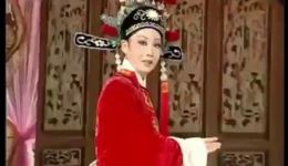 韩再芬领衔经典黄梅戏《女驸马》高清下载，名家名段在线观看，冯素珍救夫传奇全收录下载