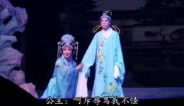 双驸马