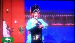 枣梆《蝴蝶杯》选段下载 - 范继云演唱 戏曲MP4视频资源 枣梆《蝴蝶杯》选段下载 - 范继云演唱 戏曲MP4视频资源