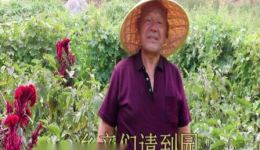 蒲剧《故乡情》温俊祥演唱戏曲视频mp4/mp3下载，经典蒲剧名家名段资源下载
