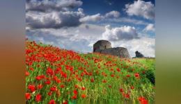 大调曲子《拷红》高清下载 刘黎丽等名家演绎 经典戏曲资源速取下载