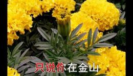 断桥