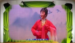 越剧《玉簪记 偷词定情》刘本秀翁金凤演唱，高清戏曲视频mp4/mp3资源下载