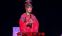 川剧《凤仪亭》高清下载 董金凤杨凯等名家演绎 成都洛带剧场呈现下载