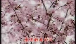 二子争母