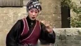淮北琴书《罗衫记》全剧下载，王道兰周银侠演绎，完整戏曲资源mp4/mp3格式提供下载