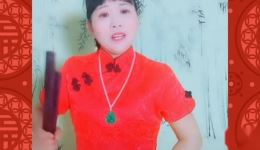 河南坠子《刘公案之铡西宫》胡银花演唱经典片段，完整剧情在线下载下载