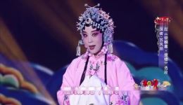 十二省市春节戏曲晚会《相约花戏楼》在线观看，汇聚多剧种经典戏曲盛宴
