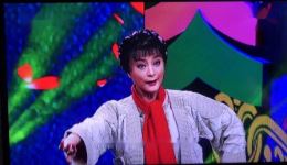 美丽老师
