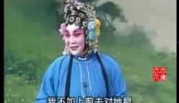 柳琴戏《休丁香》全场舞台艺术片经典戏曲视频mp4/mp3资源下载