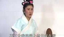 生死鸳鸯画扇面