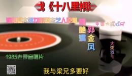 大弦戏《十八里相送》陈艳娇郭金凤原唱 戏曲名段mp4/mp3下载 高清资源免费获取