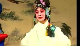 双玉蝉1