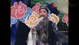 申小梅越调《空城计》选段下载，梨园春经典戏曲MP4/MP3资源免费获取