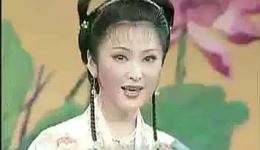 挑女婿