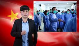 宛梆《团结一心抗疫情》武新建演唱，国家级非遗戏曲mp4/mp3视频下载