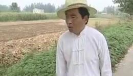 刘罗锅捉奸