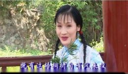 萍乡采茶戏《家》选段下载，赵一青国家一级演员演绎，高清戏曲名段mp4/mp3资源