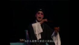 水泼大红袍