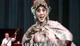 京东大鼓《杨八姐游春》王辑馨演唱 高世舜伴奏 经典戏曲在线下载下载