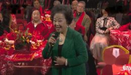 花为媒