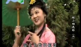 桂小姐选郎