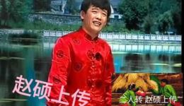 二人转正戏《张郎休妻》全场视频mp4/mp3下载 黎明王丹丹主演下载