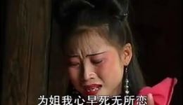 赣南采茶戏《半夜夫妻》高清mp4/mp3视频下载 - 经典戏曲资源