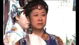 恶毒丈夫休贤妻