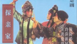 探亲家