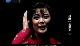 吕剧《苦菜花》郎咸芬李萍戏曲名段下载，MP4/MP3格式资源免费获取下载