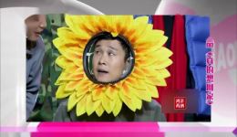 真的想回家