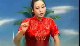 温州鼓词《白袍传奇续集1》mp4/mp3高清视频音频下载，经典戏曲资源速取