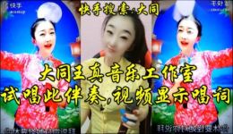 二人转酸曲《奴家爱死你》MP4/MP3视频音频下载 东北特色戏曲资源