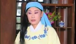 庐剧《好色和尚偷金钗》戴黎明李立存武强林冬梅主演戏曲下载资源下载