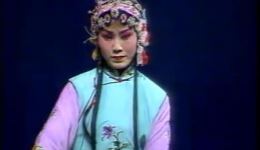 蒲剧《表花》高清mp4/mp3格式戏曲资源下载,经典剧目随时畅听畅看 蒲剧《表花》高清mp4/mp3格式戏曲资源下载,经典剧目随时畅听畅看