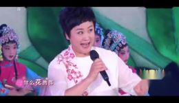 中国戏歌《报花名》管波演唱,融合小提琴与说唱,经典改编戏曲视频下载 中国戏歌《报花名》管波演唱,融合小提琴与说唱,经典改编戏曲视频下载
