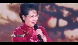 卜算子·咏梅