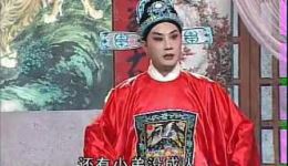 庐剧《钓金龟》盛小五周大三夏巧云主演，高清戏曲视频mp4/mp3资源下载下载
