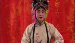 河北梆子《万花船》戏曲视频mp4/mp3下载 - 赵靖许燕主演经典全剧资源