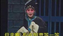淮剧《半夜夫妻》全剧下载 裔小萍梁锦忠主演 正版戏曲mp4/mp3资源下载
