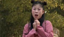 宁都采茶戏《苦妹子1》高清MP4/MP3资源下载，全剧戏曲视频音频一键获取
