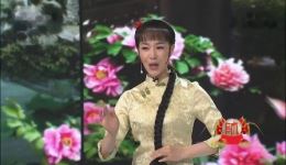 黄梅戏《啼笑因缘》选段演唱王彤王铭清高清戏曲视频mp4/mp3资源下载下载