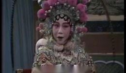 女审