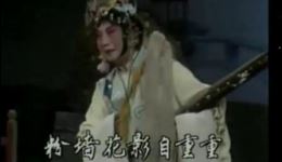 懒画眉