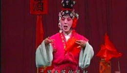 母老虎上轿